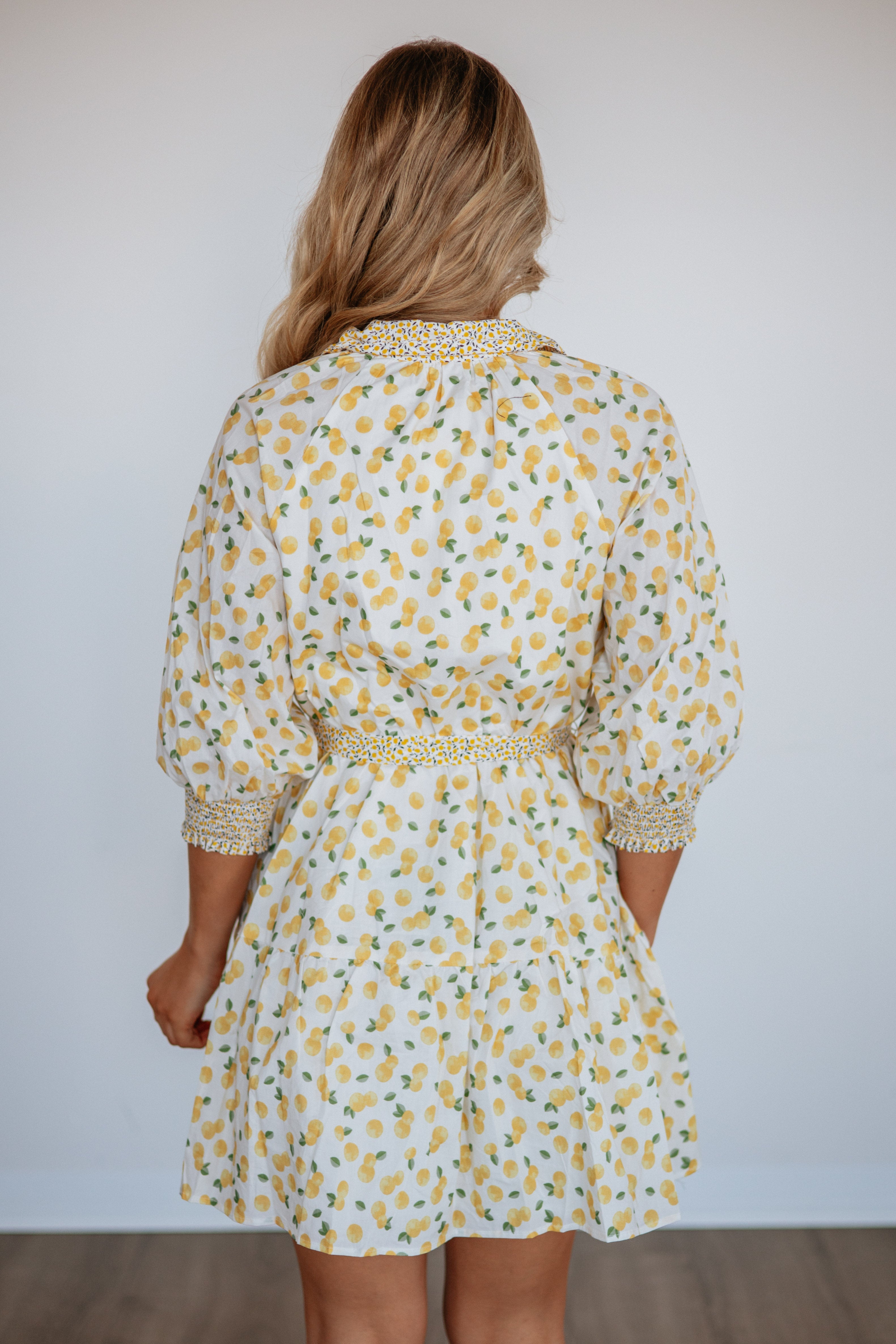 Sunny Squeeze Dress