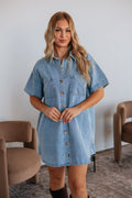 Tess Denim Dress